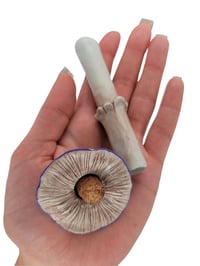 Image 5 of Black Mushie Pipe & Mush-Stash Tube