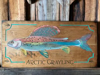 Image 1 of Arctic Grayling
