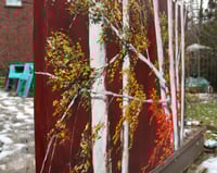 Image 2 of  - Birch Bunch -