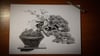 Original drawing - Shimpaku - han-kengai style