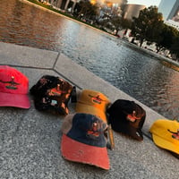 HibachiEverything Hat