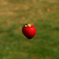 Image 1 of Strawberry Garden