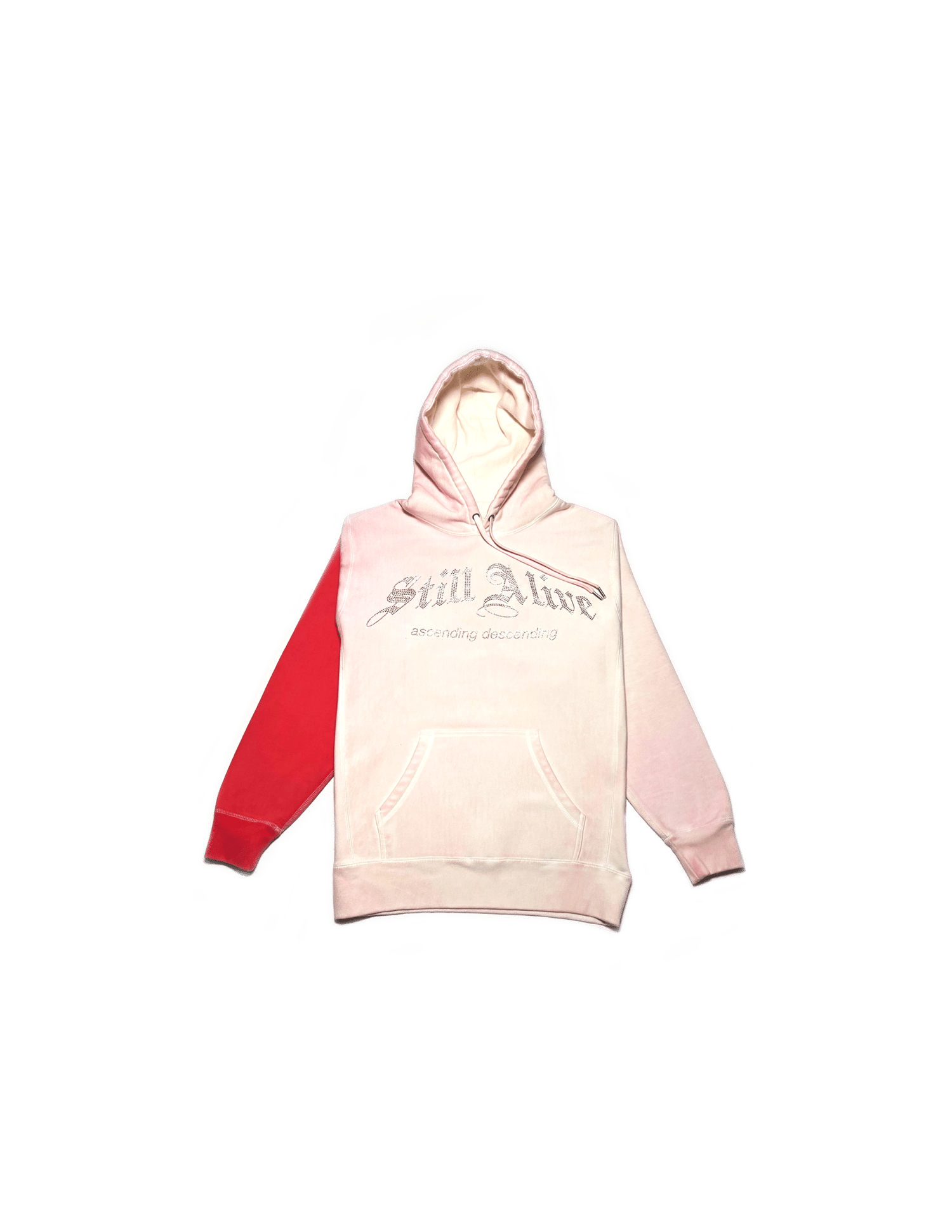 Image of 5th Anniversary Swarovski Hoodie