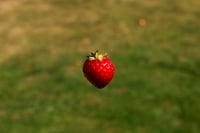 Image 2 of Strawberry Garden