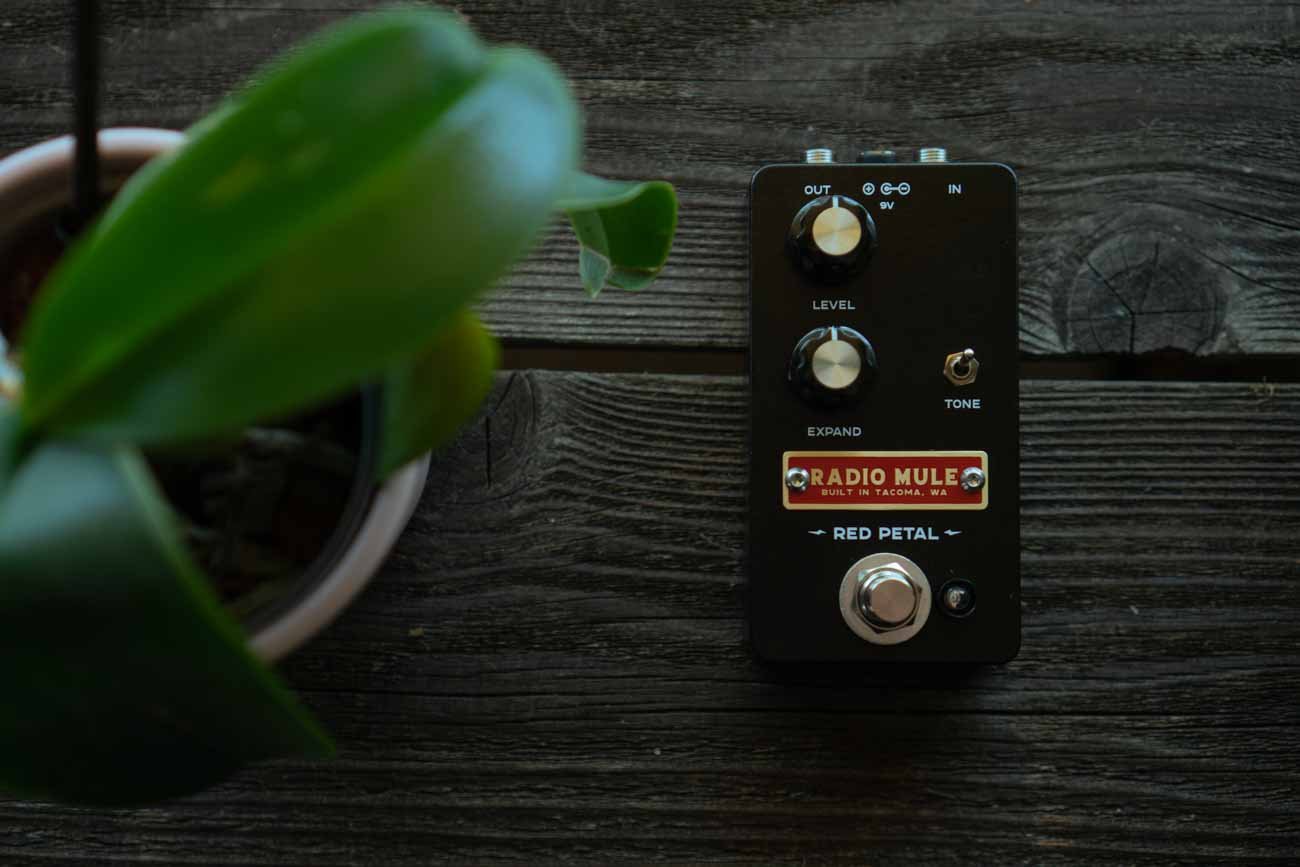 Red Petal | Radio Mule