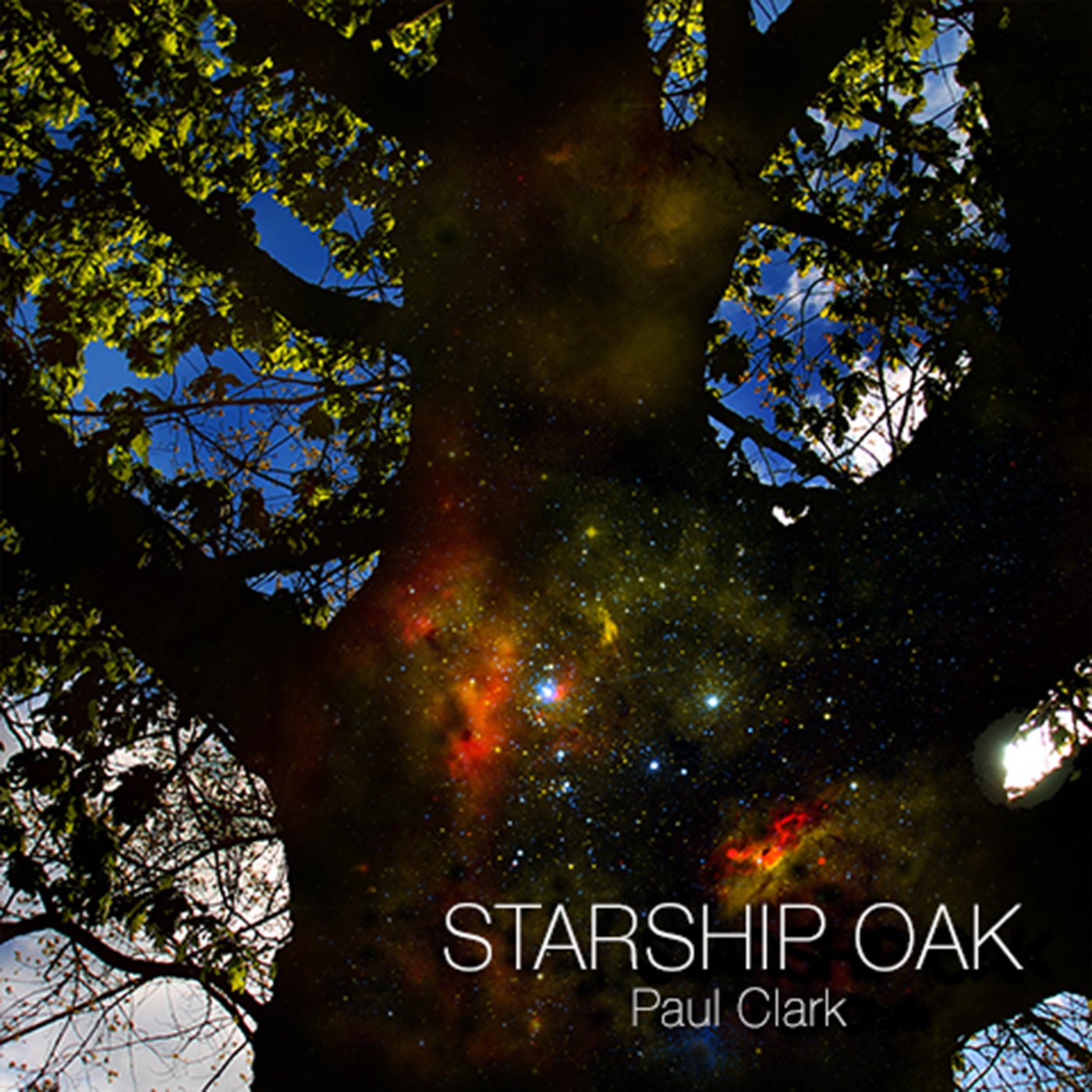 Image of Starship Oak