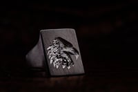 Image 5 of Eagle Signet 