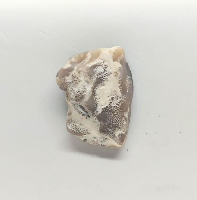 Image of Snakeskin Jasper Magnetic Pin #22-574