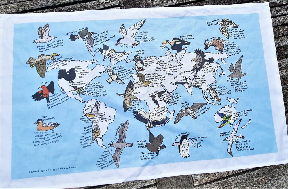 Image of Bird migration world map tea towel