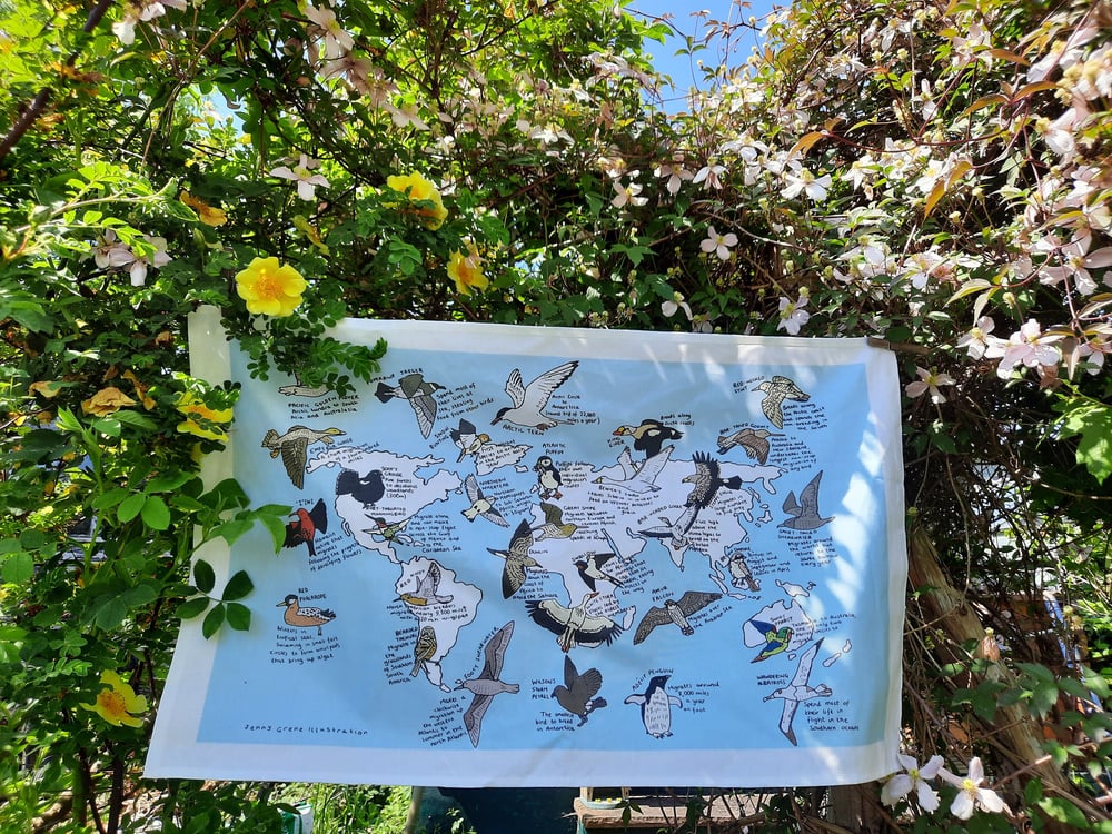Image of Bird migration world map tea towel