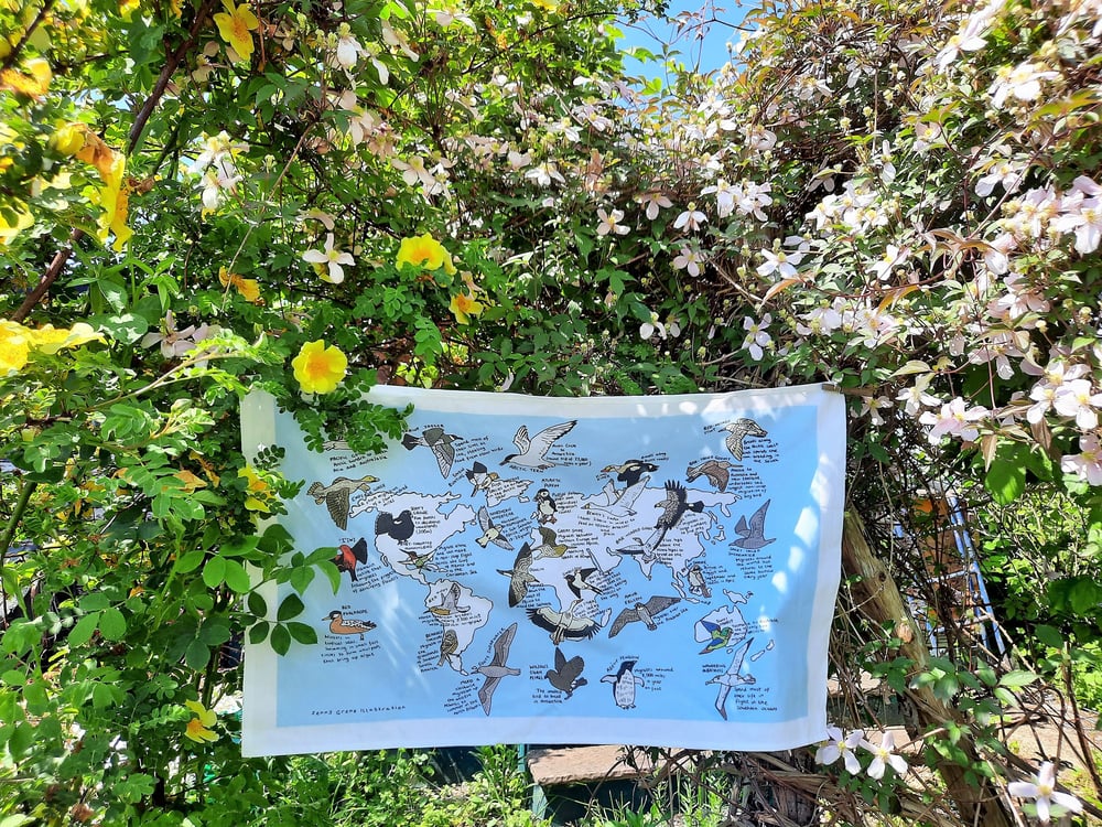 Image of Bird migration world map tea towel
