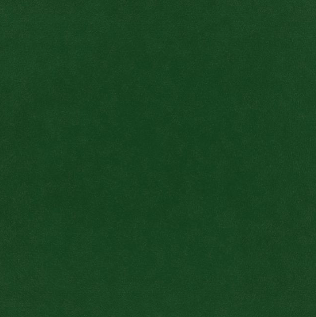Image of Plush Velvet Evergreen Shade