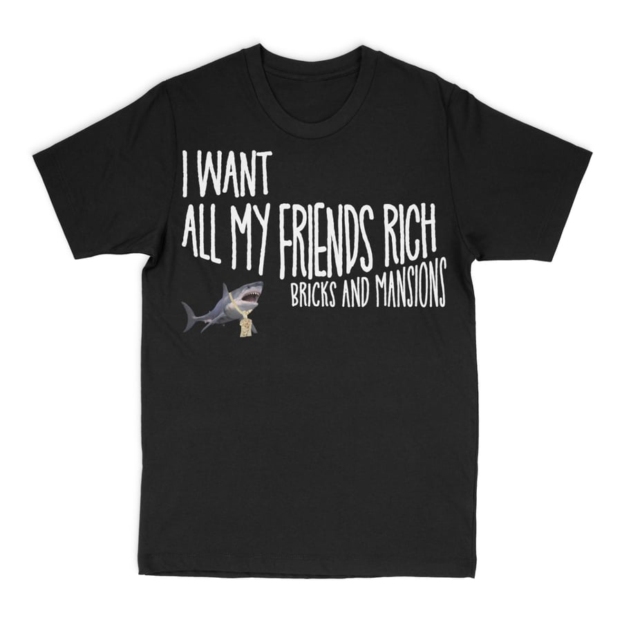 Image of I WANT ALL MY FRIENDS RICH