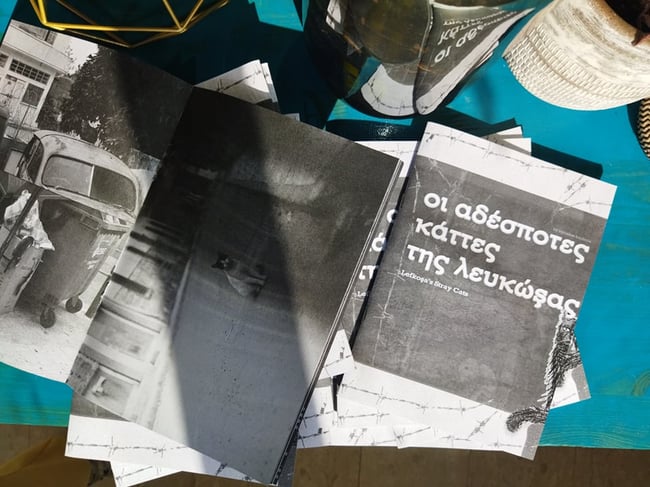 Lefkosa's stray cats - zine