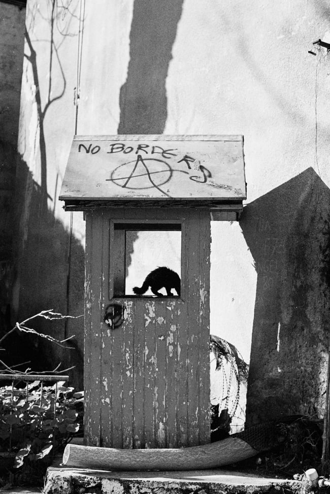 stay cats of lefkoşa - poster (Limited Edition)