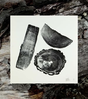 Image of LOG STACK - Variation 08