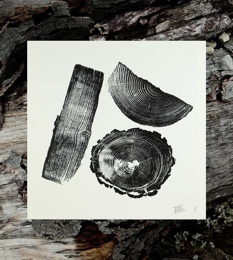 Image of LOG STACK - Variation 08