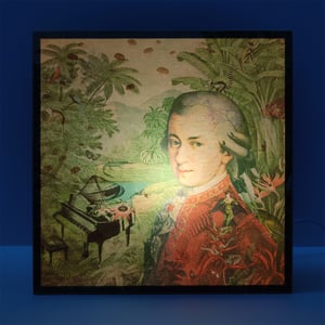 Image of Lámpara Round about Mozart, jungla