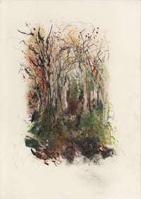 Through the woods in January 