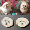 Custom Pet Portrait Earrings Mismatch