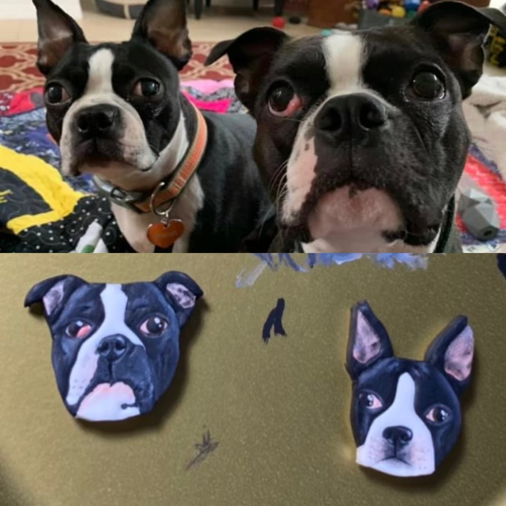 Custom Pet Portrait Earrings Mismatch