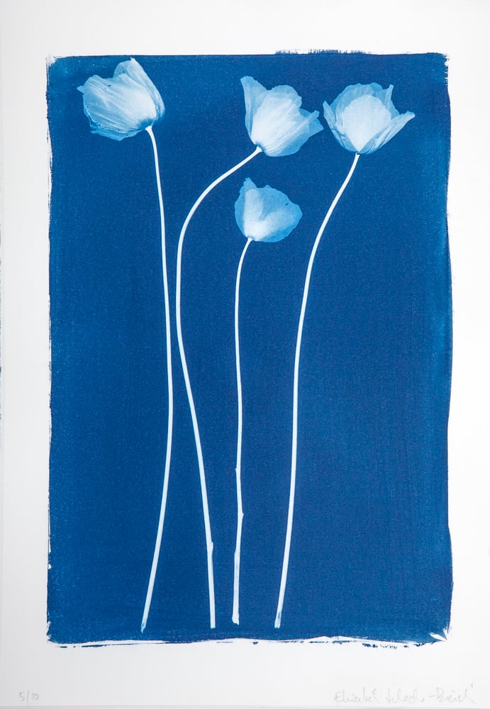 Image of Elisabeth Scheder-Bieschin Vier Mohnblumen, blau (Four Poppies, blue) 2021