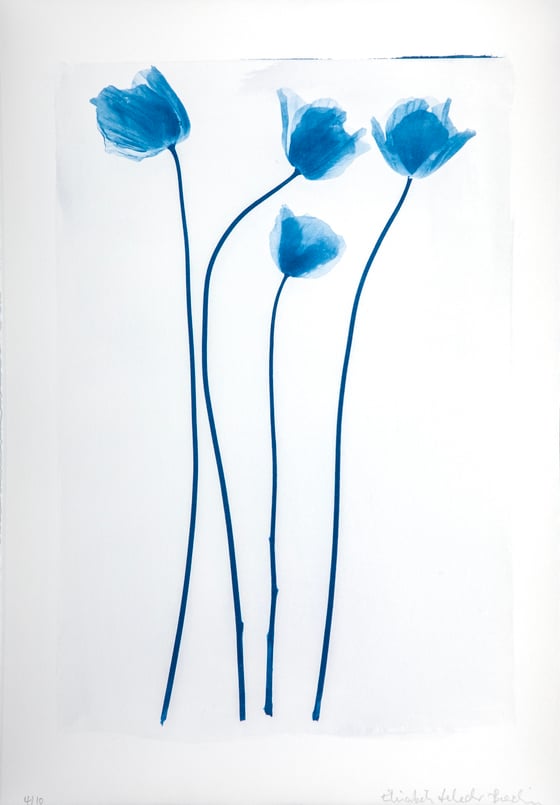 Image of Elisabeth Scheder-Bieschin Vier Mohnblumen, Weiss (Four Poppies, white) 2021