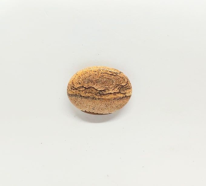 Image of Picture Jasper Magnetic Pin #22-623