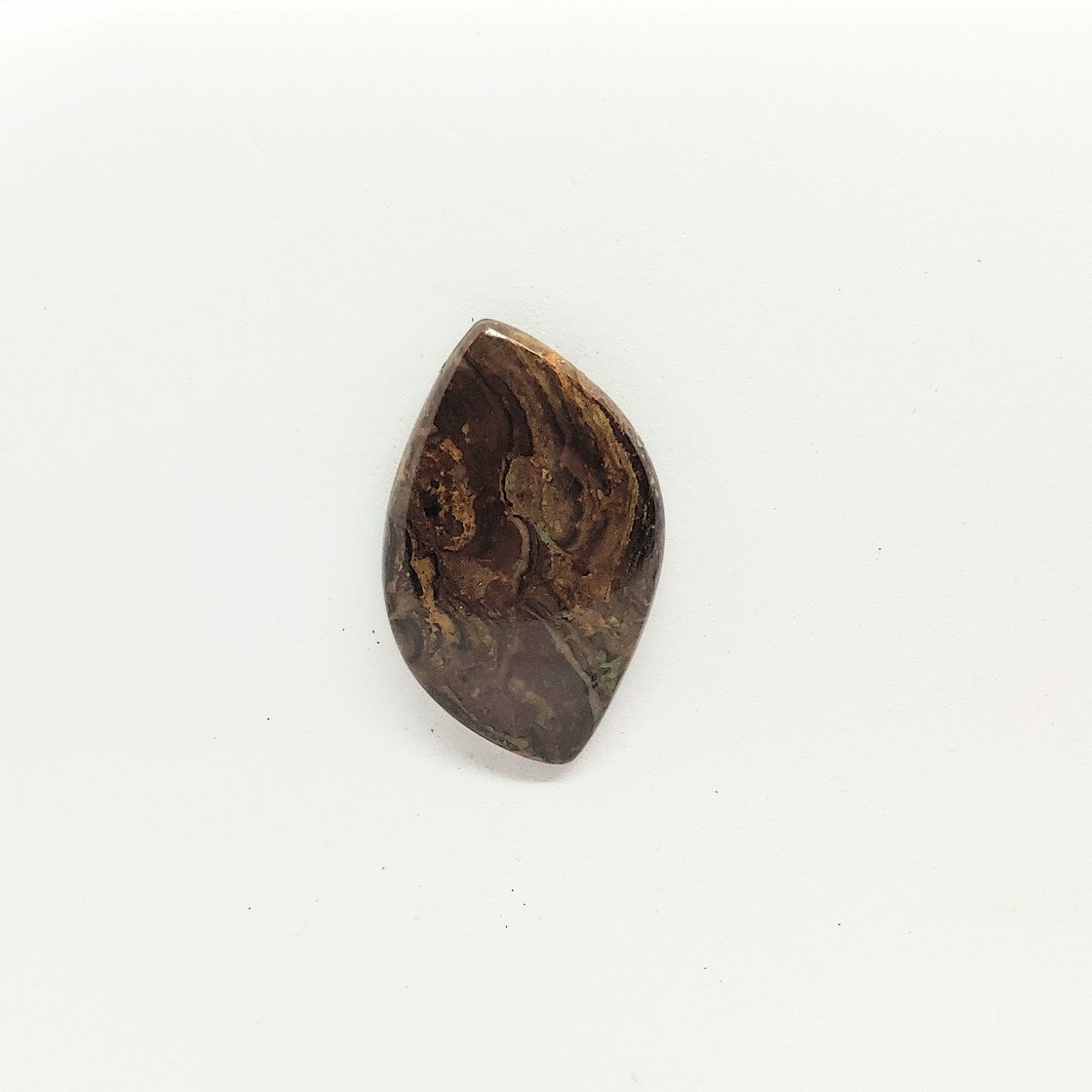 Image of Stromatolite Magnetic Pin #22-627