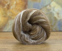 Image 1 of 4 oz 70/30 Moorit Shetland/Tussah Silk Combed Top ON SALE