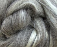 Image 2 of 4 oz 70/30 Grey Shetland/Tussah Silk Combed Top