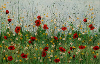 Image 1 of Poppy Meadow