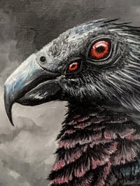 Image 2 of Hell Parrot