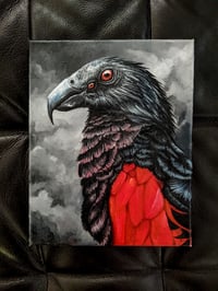 Image 1 of Hell Parrot