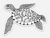 Turtle Sticker