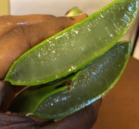 Aloe Vera Barz