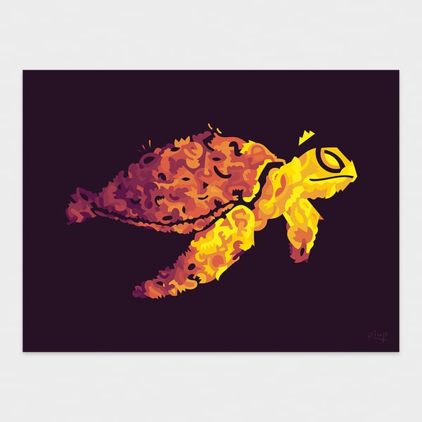 Image of Rudy's Turtle | 40 x 30 cm