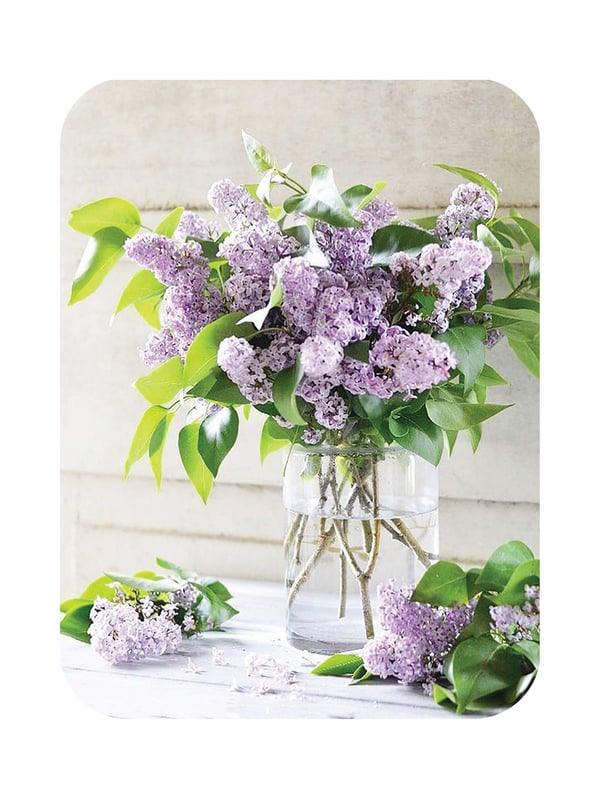 Image of Carte postale "Brassée de lilas"