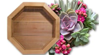 Image 1 of Vertical Succulent Planter Box LARGE 18" OCTAGON 