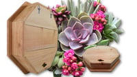 Image 4 of Vertical Succulent Planter Box LARGE 18" OCTAGON 