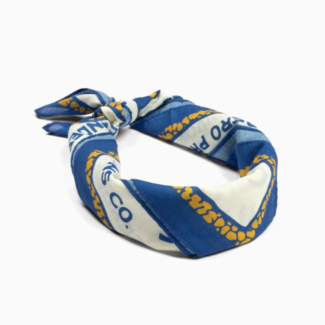 Cowboy Campfire Bandana