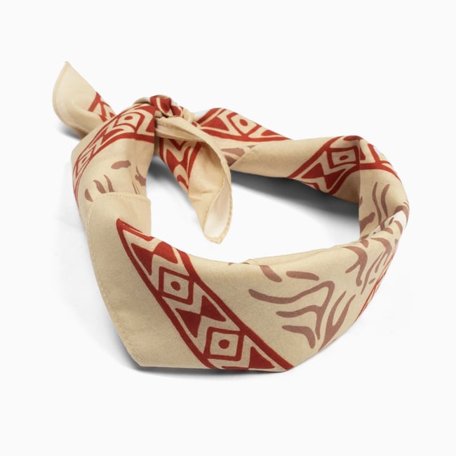 Desert Flush Bandana