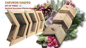 Image of Vertical Succulent Planter Boxes: Chevron/Arrow Shaped Set of 3
