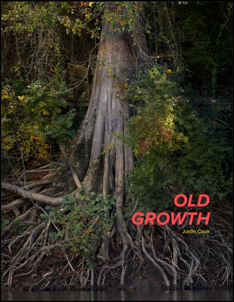 Image of OLD GROWTH