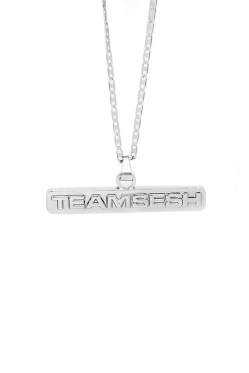 Image of TeamSESH Bar Logo Necklace 