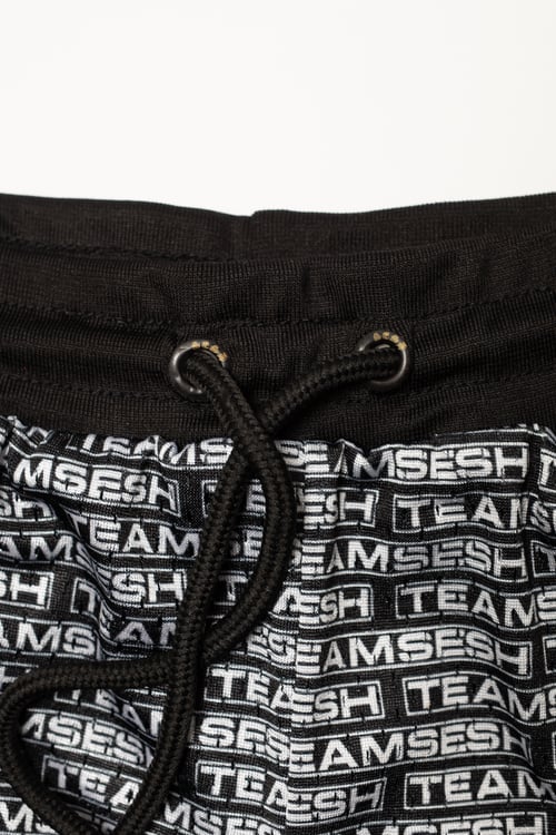 Image of TeamSesh Bar Logo Mesh Shorts 