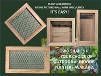 Image 1 of Vertical Succulent Planter Boxes - SQUARE RECTANGLE 