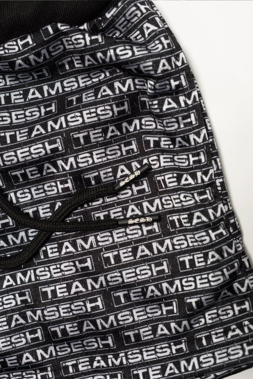 Image of KIDS TeamSesh Bar Logo Mesh Shorts 