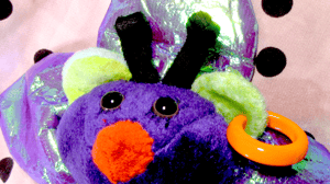 venus the unreliable fly trap