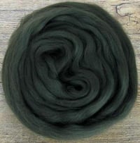 Image 4 of Moss - Mossy Green Merino Combed Top - 100 grams (3.5 oz)